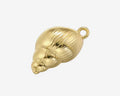 golden shell