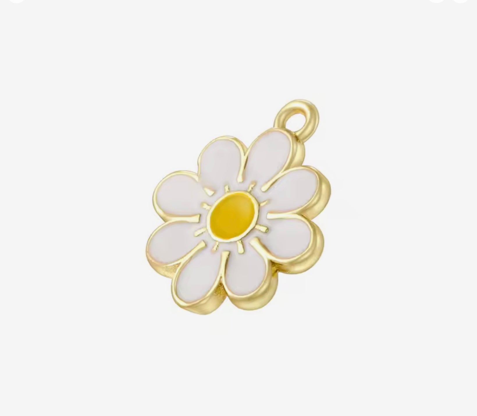 daisy bloom